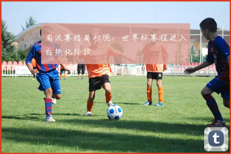 淘汰赛格局初现,世界杯赛程进入白热化阶段