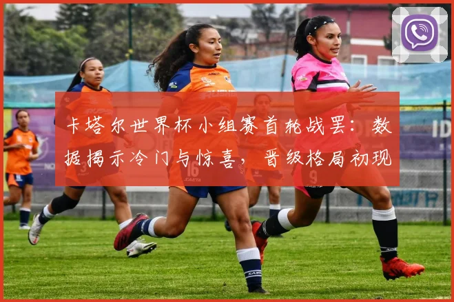 卡塔尔世界杯小组赛首轮战罢:数据揭示冷门与惊喜,晋级格局初现端倪